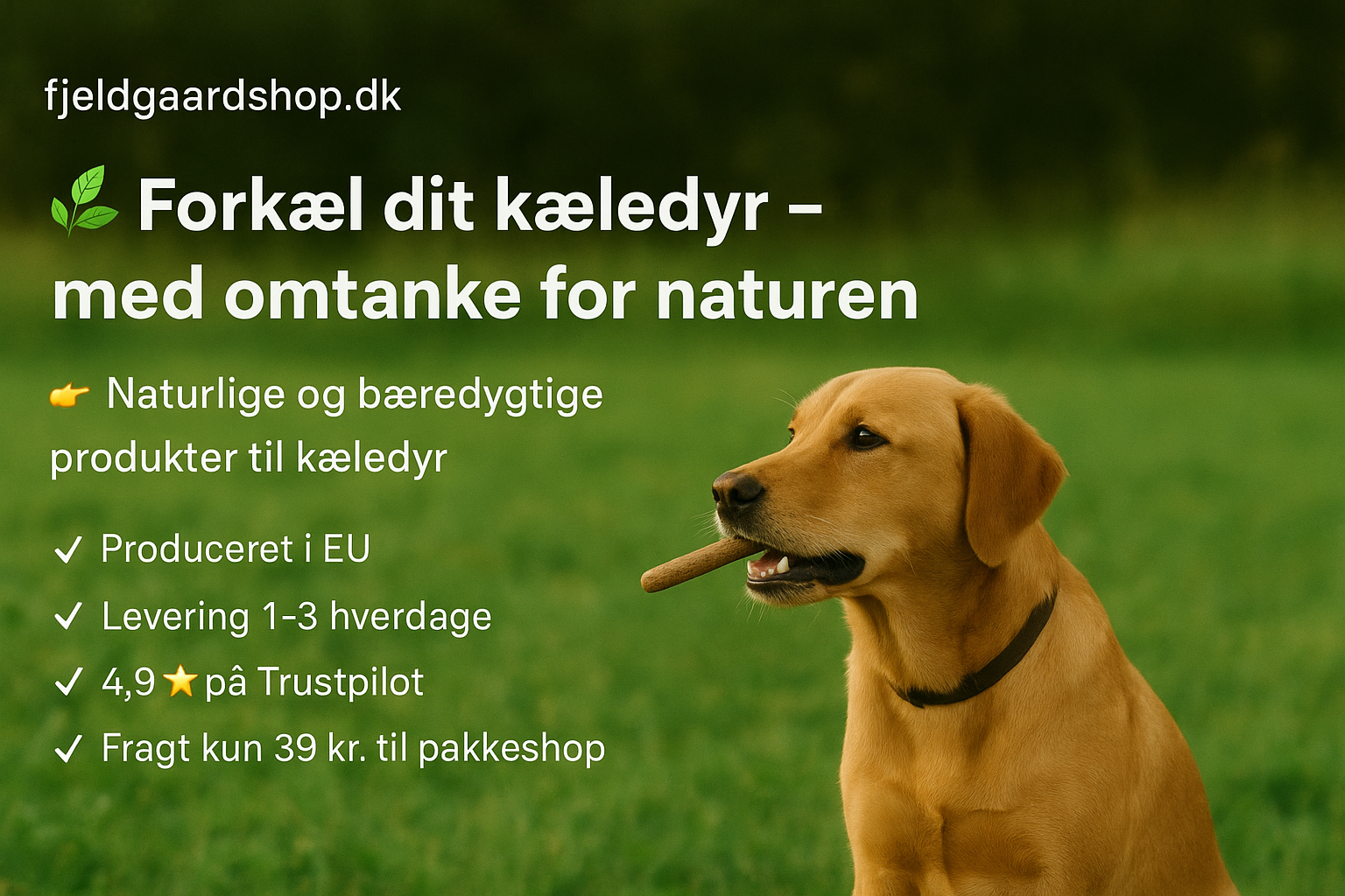 FjeldgaardShop.dk