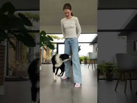 I18n Error: Missing interpolation value "desricption" for "lataa video {{ desricption }}"