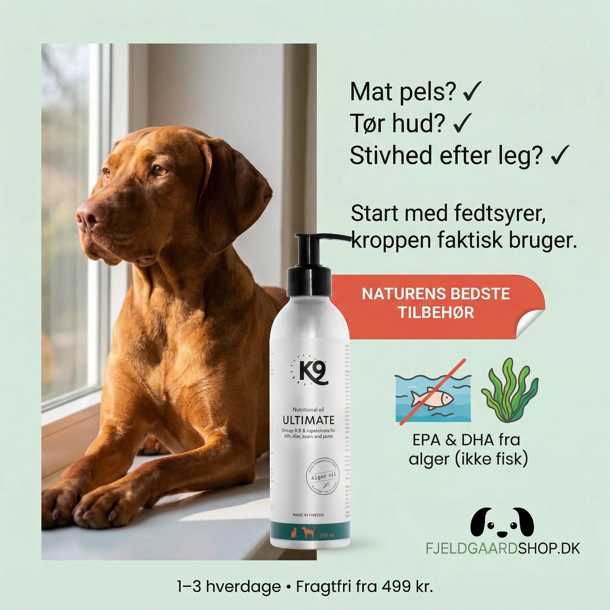 Brown dog beside a Hud og pels bottle on a pale green background at Fjeldgaard Shop.