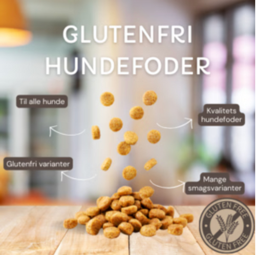 Glutenfri hundefoder