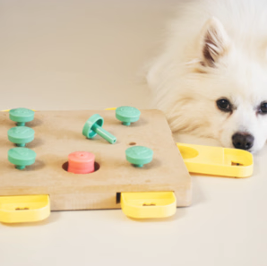 Activity toys for dogs