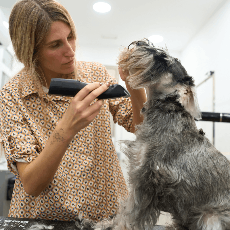 Hundetrimmere og klippemaskiner