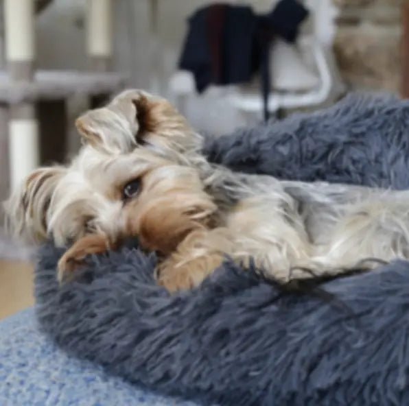 Donut hundeseng - FjeldgaardShop.dk