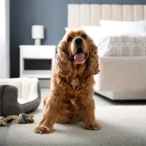 Filterspray - FjeldgaardShop.dk