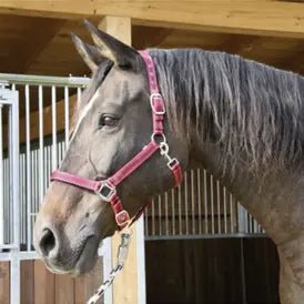 Grimer - FjeldgaardShop.dk