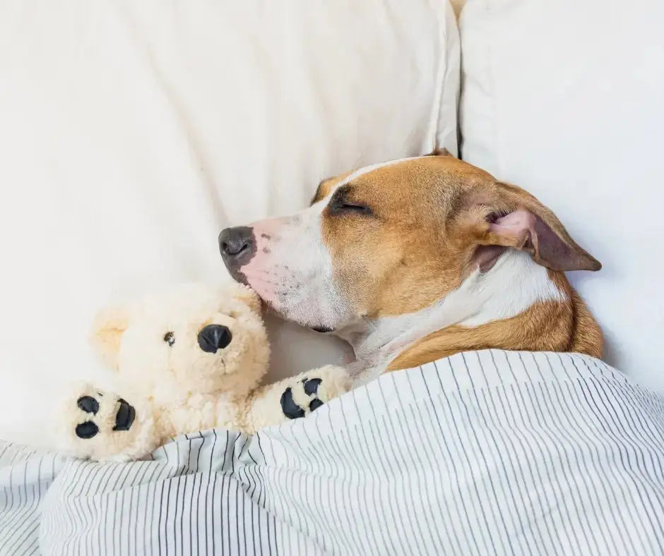 Hundebamser - FjeldgaardShop.dk