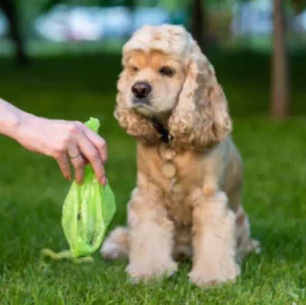 Hundeposer & dispensere - FjeldgaardShop.dk