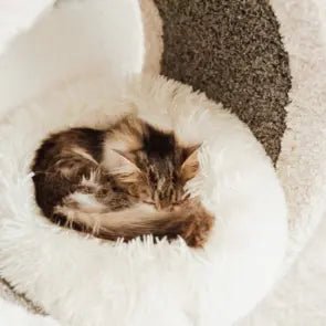 Kattesenge & huler - FjeldgaardShop.dk