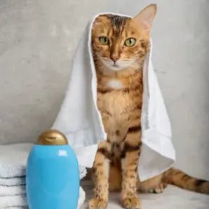 Katteshampoo - FjeldgaardShop.dk