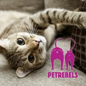 Pet Rebels - FjeldgaardShop.dk
