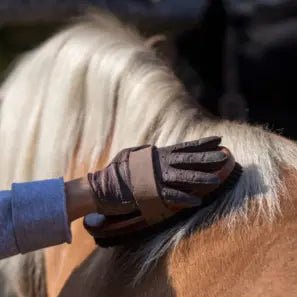 Rideudstyr - FjeldgaardShop.dk