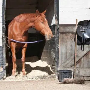 Staldartikler - FjeldgaardShop.dk