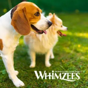 🪥 Whimzees - FjeldgaardShop.dk