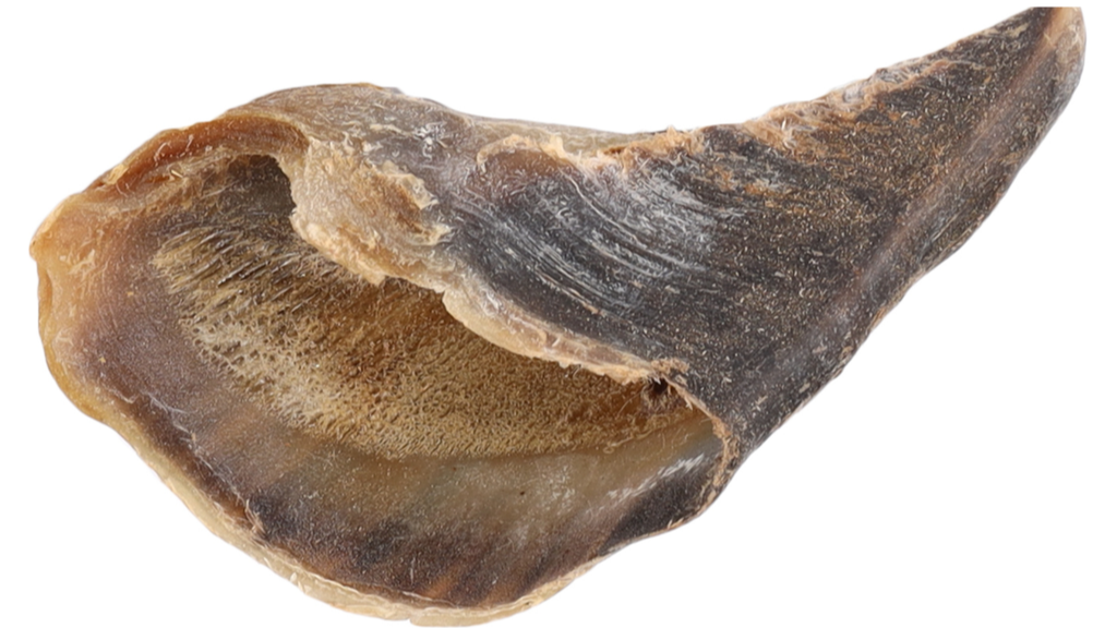 Hundegodbid - Snack'it Okseklov 1 stk. - FjeldgaardShop.dk Naturlige tyggeben Snack'it