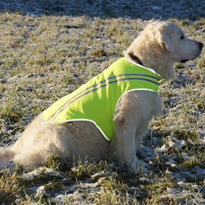 Insect Shield Reflective Neon Vest - Xlarge