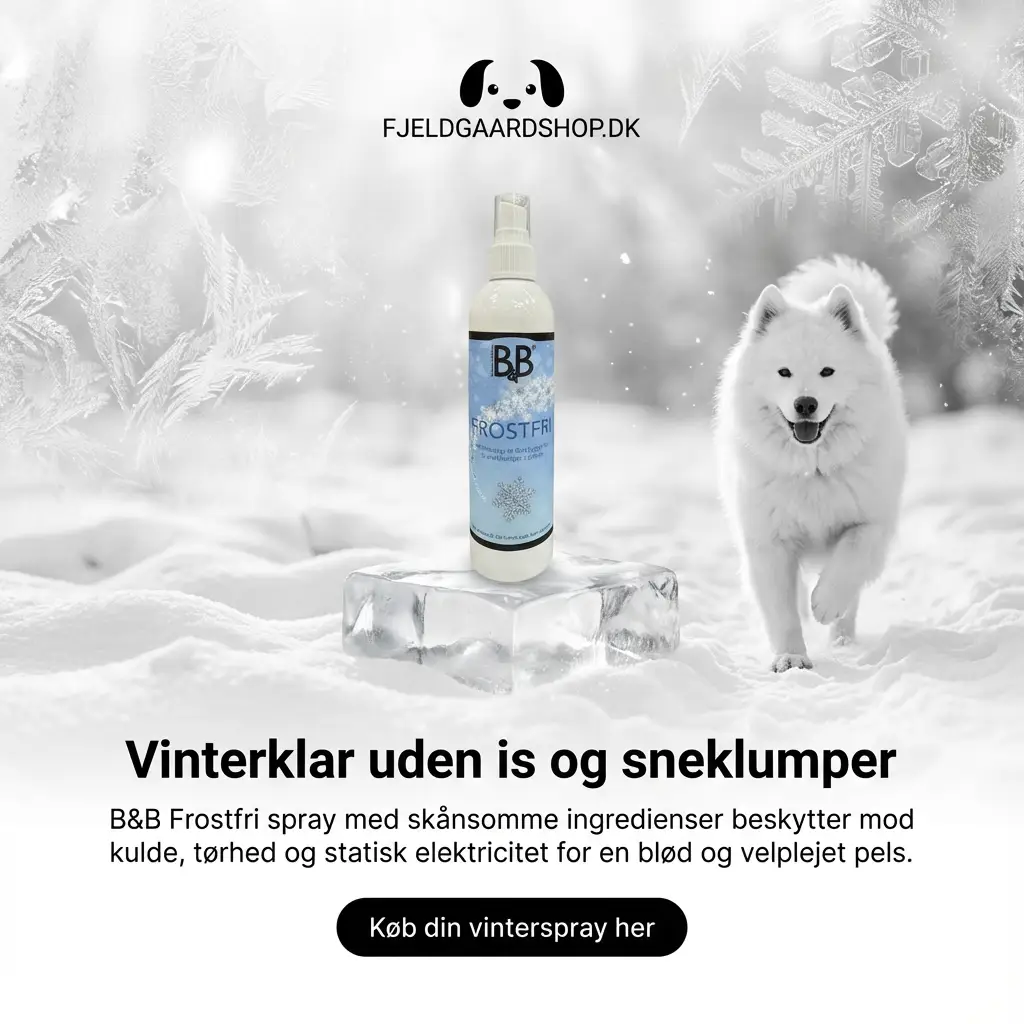 B&B Frostfri - Vinterspray 200 ml. by B&B