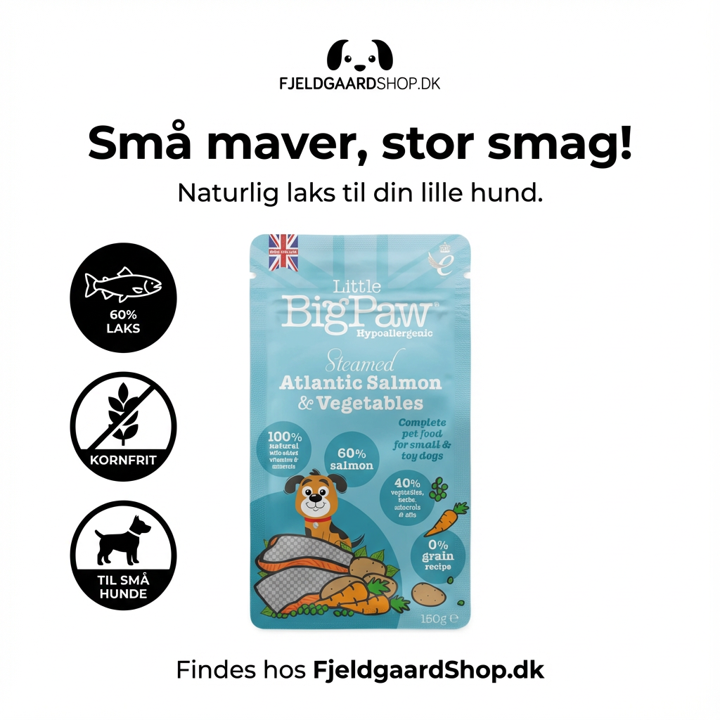 Little BigPaw Laks Vådfoder 150 g – Kornfrit til små hunde
