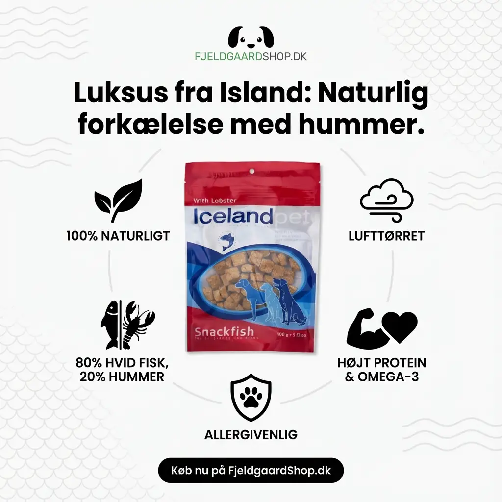 Iceland Pet Treats Dog – Hummer 100 gr. by Iceland Pet