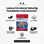 Iceland Pet Treats Dog – Hummer 100 gr. by Iceland Pet