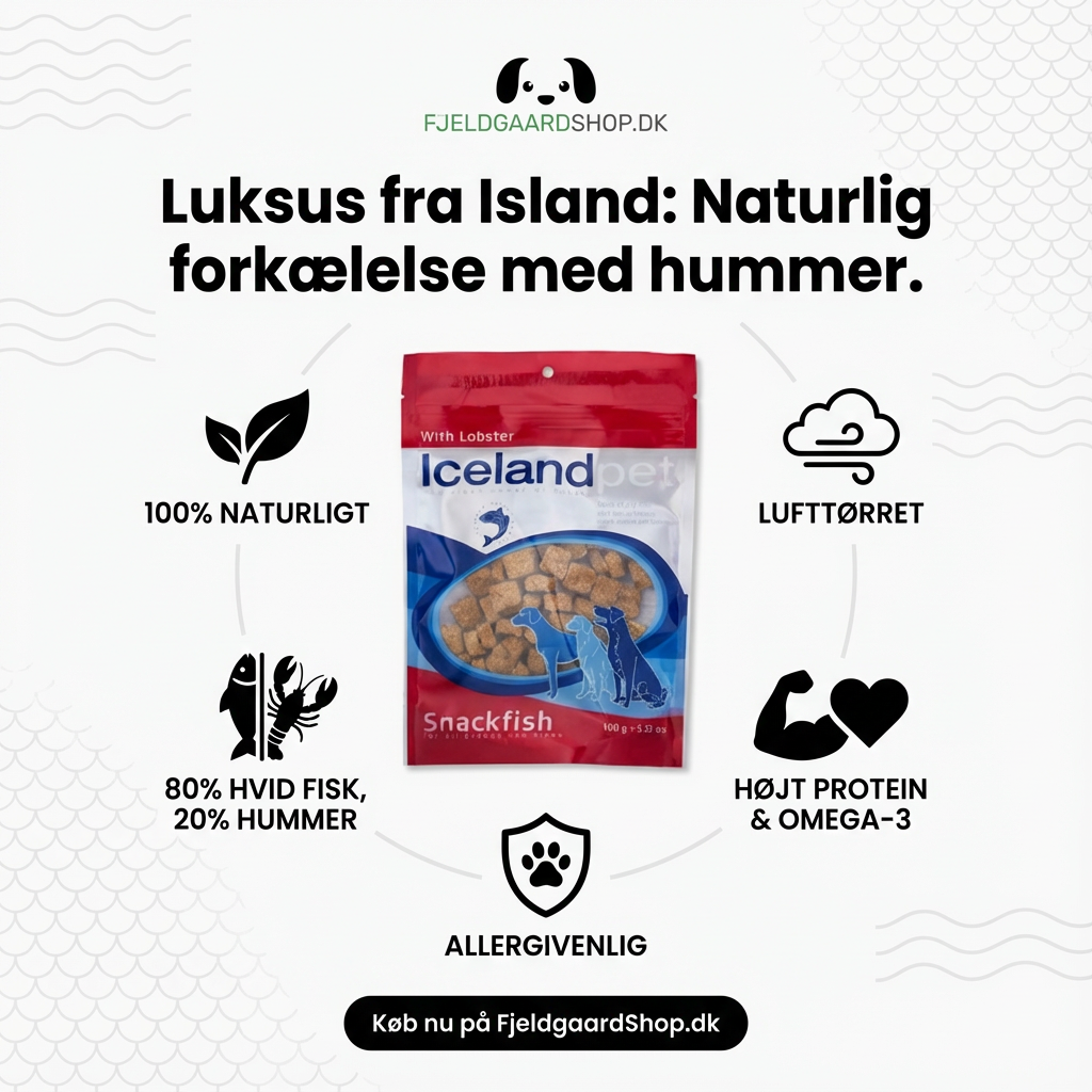 Iceland Pet Treats Dog – Hummer 100 gr.