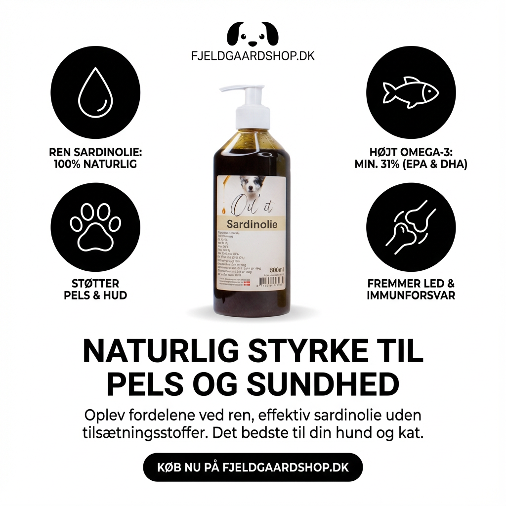 Oil'it Sardinolie 500 ml.