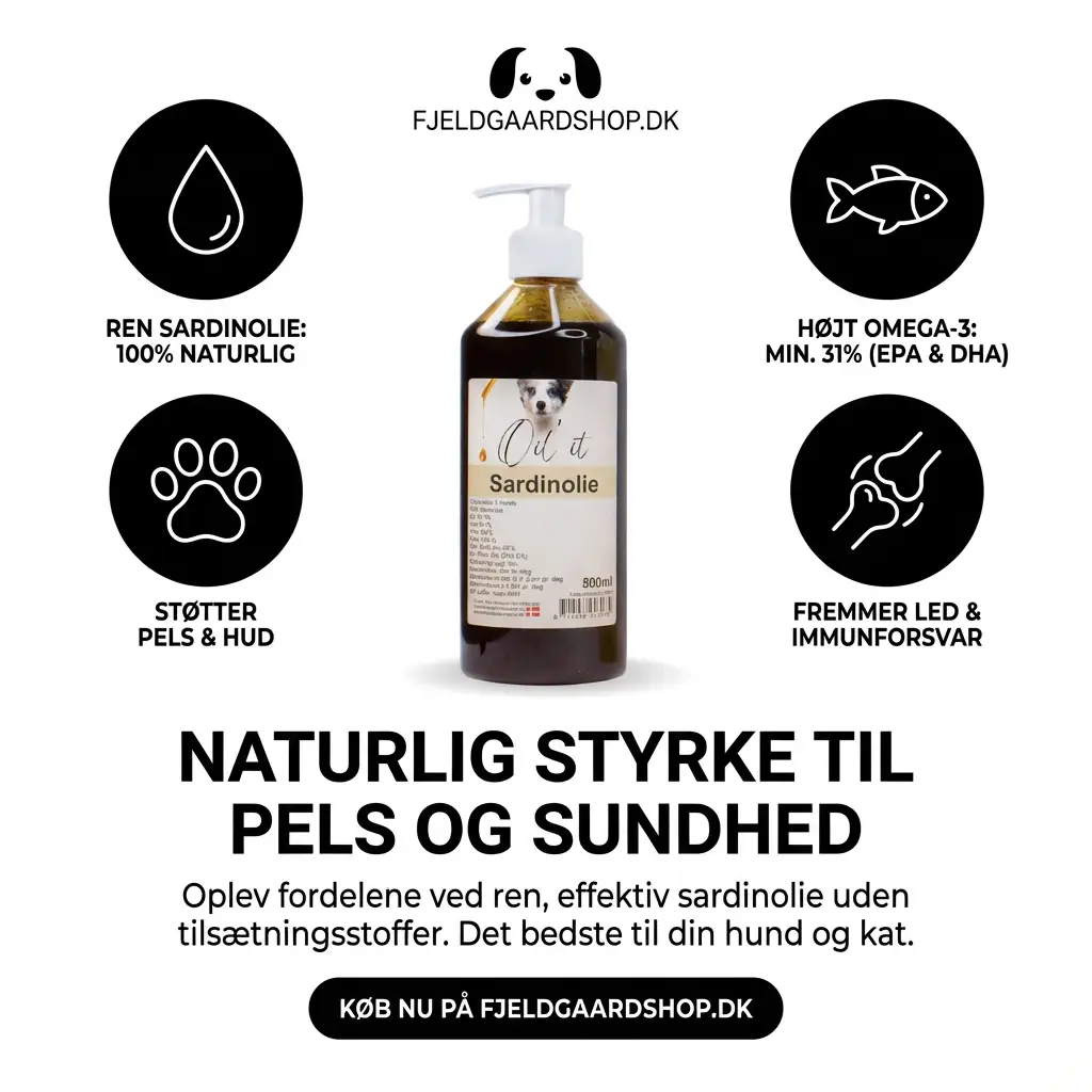 Oil'it Sardinolie 500 ml. by Oil'it