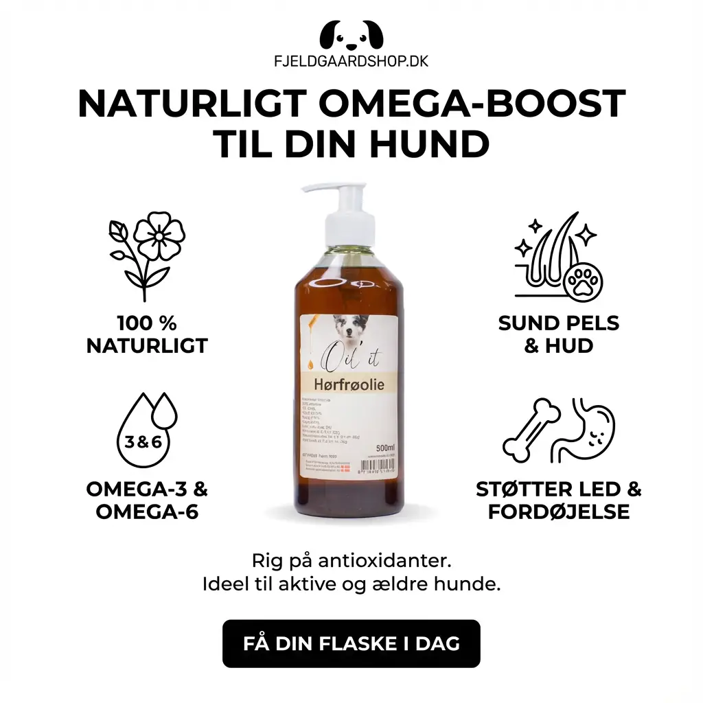 Oil'it Hørfrøolie 500 ml. by Oil'it