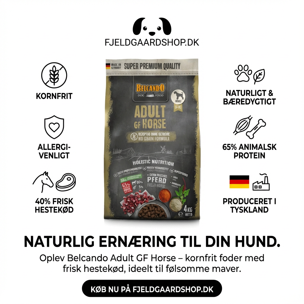 Belcando Adult GF Horse - Kornfrit