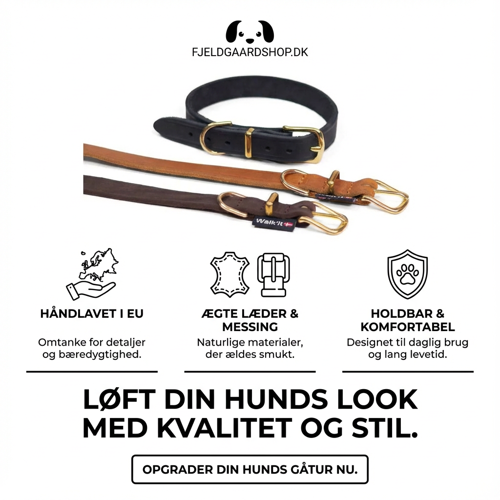 Walk'it Halsbånd læder med messing