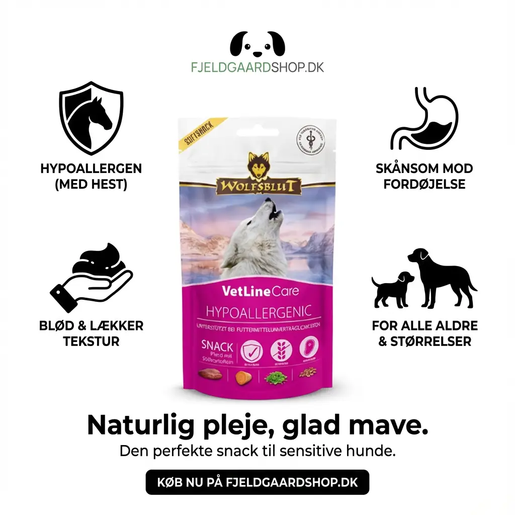 WOLFSBLUT VetLine Care Snack med hest – Hypoallergenic by WOLFSBLUT