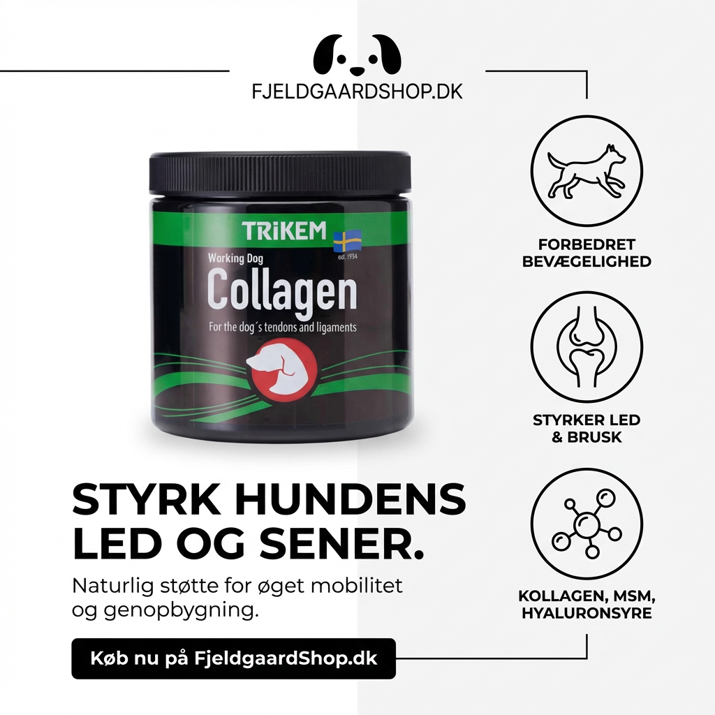 Trikem WorkingDog Collagen 350 gr. by Trikem