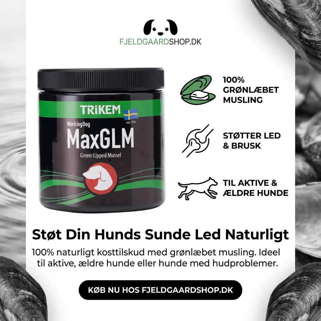 Trikem WorkingDog Max GLM Plus 450 gr. by Trikem