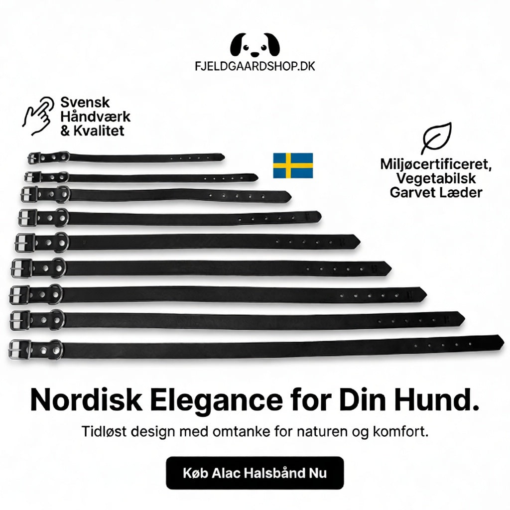 Alac Håndlavet Læder halsbånd - Sort