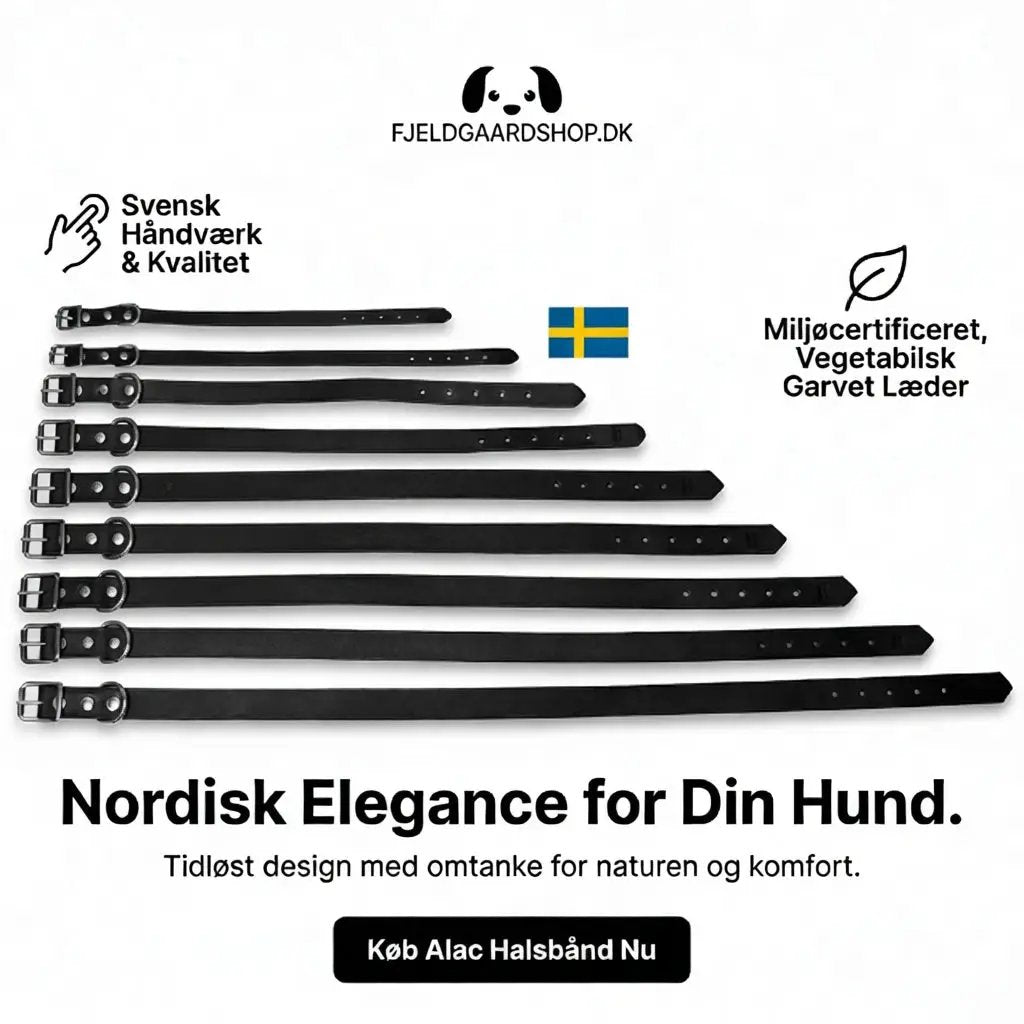 Alac Håndlavet Læder halsbånd - Sort by Alac