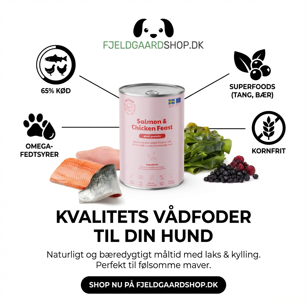 Buddy Salmon & Chicken Feast 400 gr. Kornfri