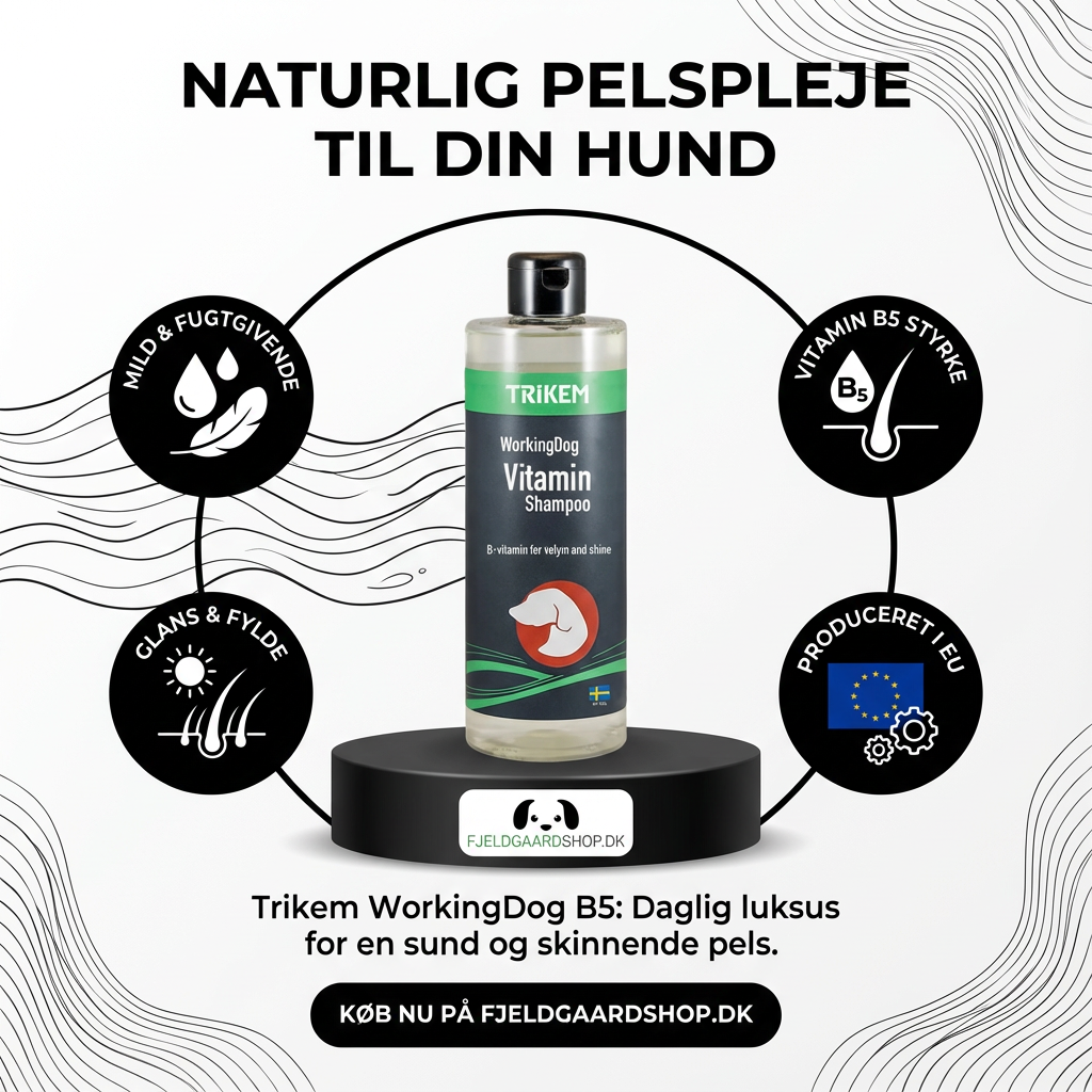 Trikem WorkingDog B5 shampoo 500 ml.