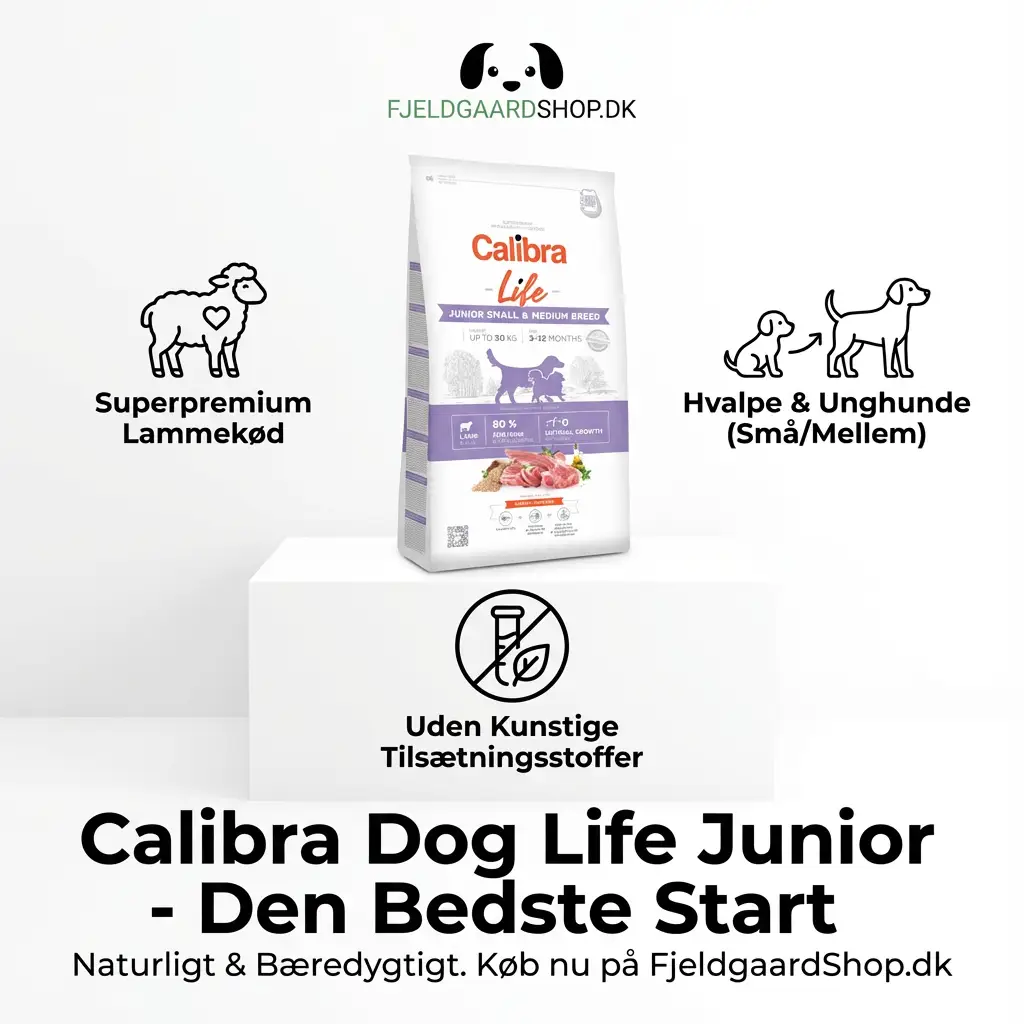 Calibra Dog Junior Small&Medium Breed Lamb 2,5 kg. by Calibra