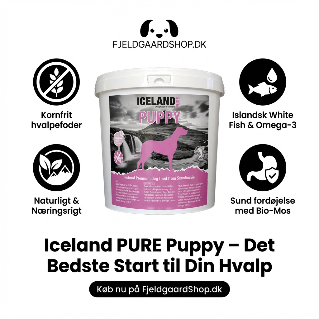 Iceland PURE Puppy – No Grain 10 kg.