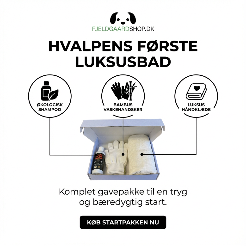 B&B Hvalpens første bad
