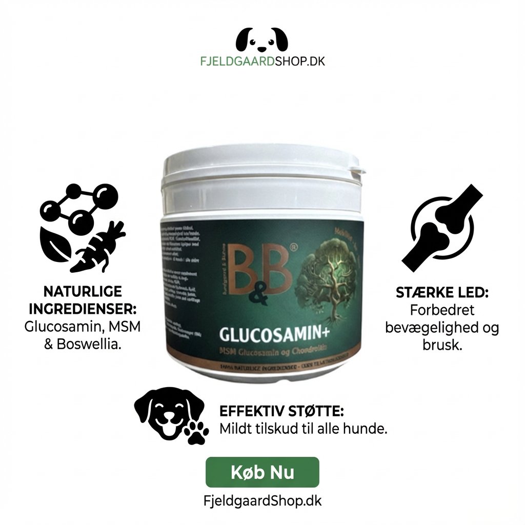 B&B Glucosamin + 250 gr.