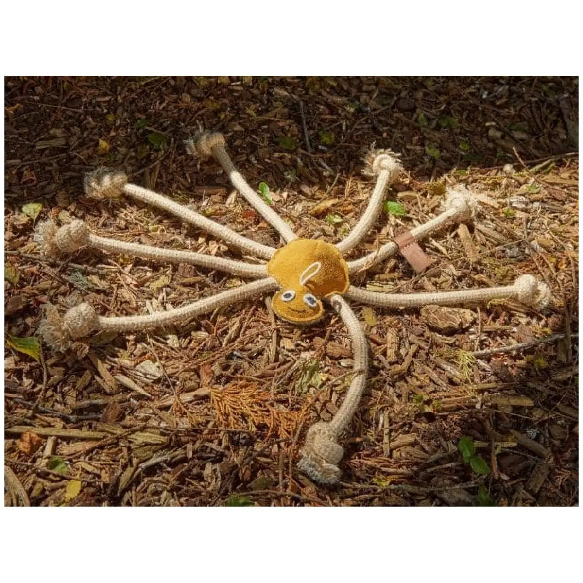 Green & Wild's Lily Longlegs by Green & Wilds