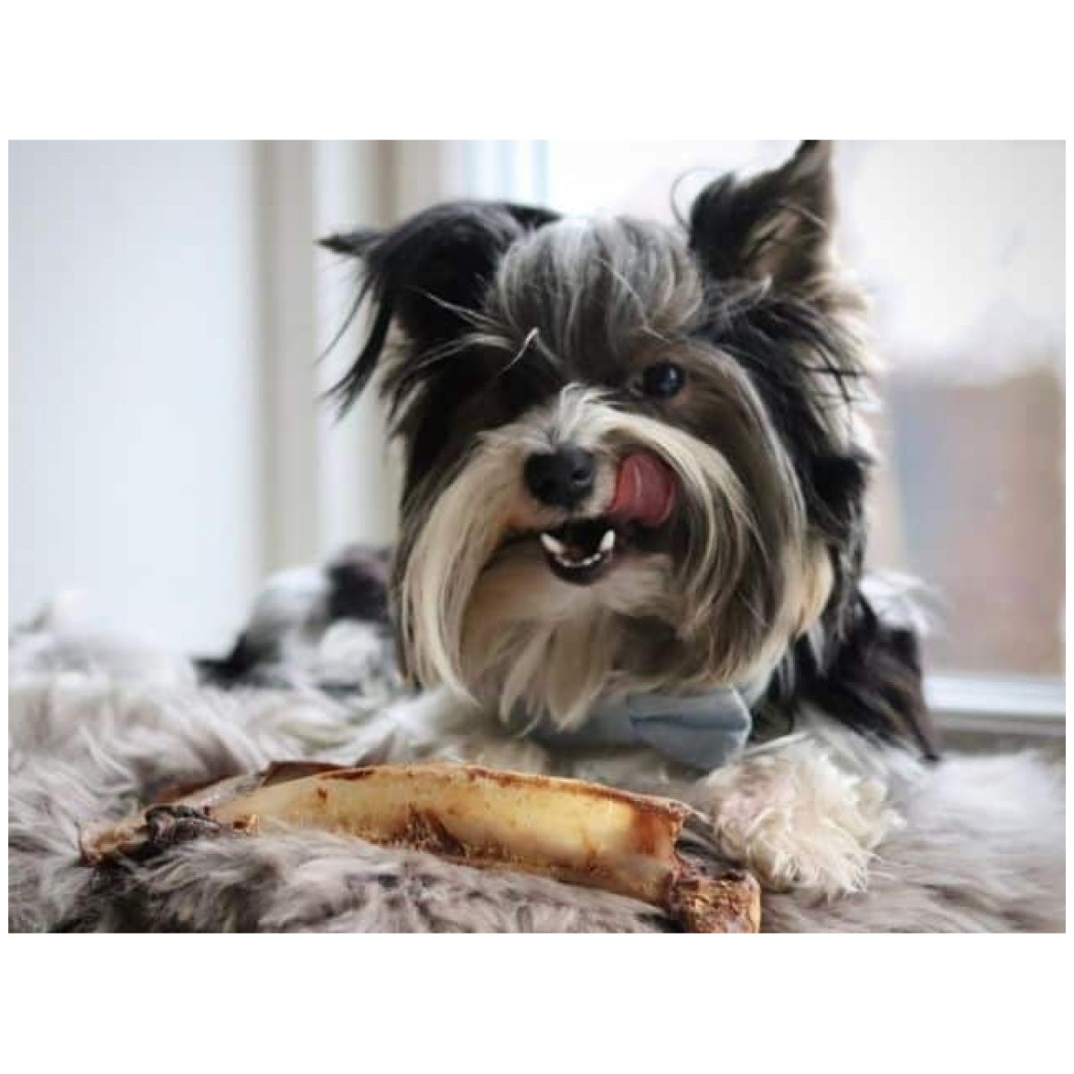 Hjortesnack – Tikki hjorte skulderblad