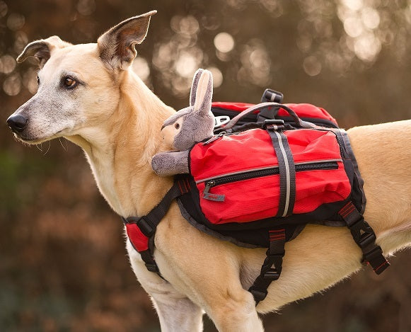 Energiväska för hund