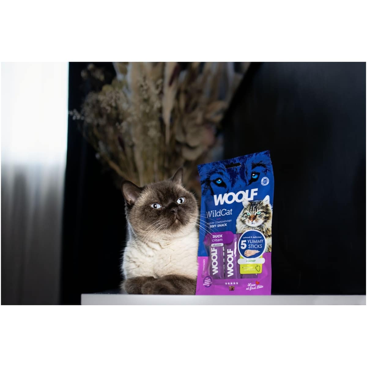 Kattegodbid - Woolf Wildcat Cat Cream – And & Catnip (5 x 14 g) - FjeldgaardShop.dk Kattegodbidder Woolf