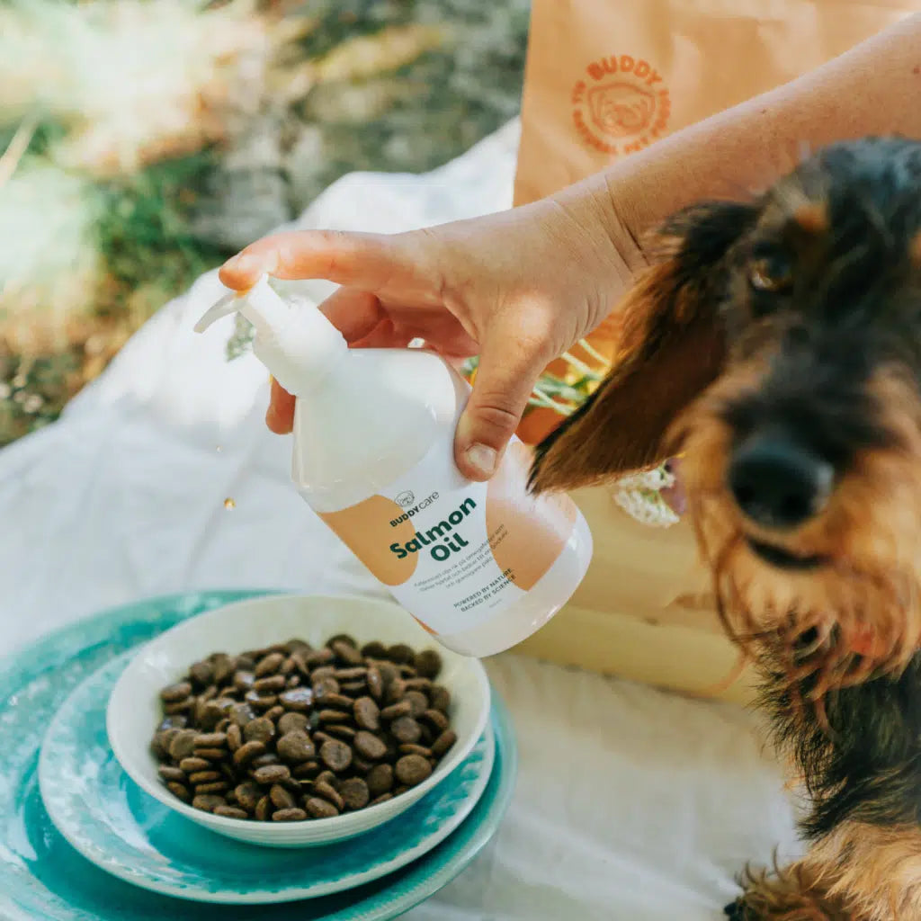 Fodertilskud - Buddycare Salmon Oil - FjeldgaardShop.dk Lakseolie & olier til hunde Buddycare