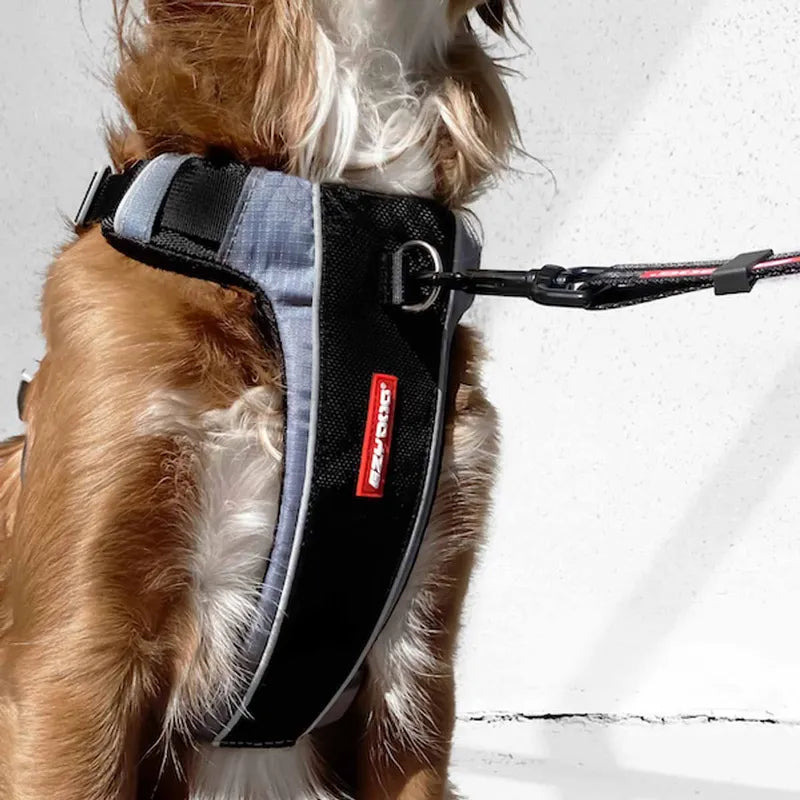 EzyDog X-Link™ Hundesele – Sort (UDGÅR) - FjeldgaardShop.dk Transport tilbehør Ezydog