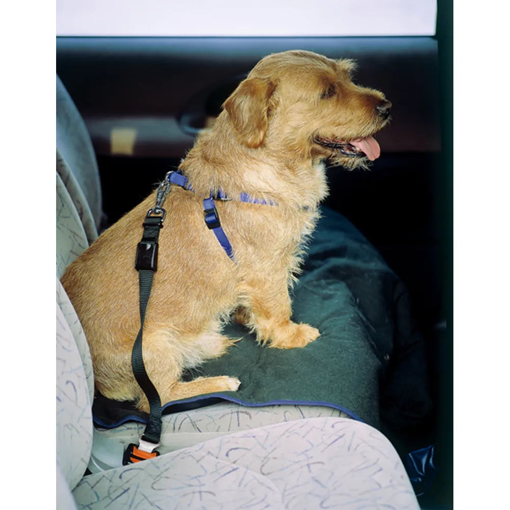 Ferplast Koblingsrem til bil - Maks. 30 kg.(EU) - FjeldgaardShop.dk Transport tilbehør Ferplast