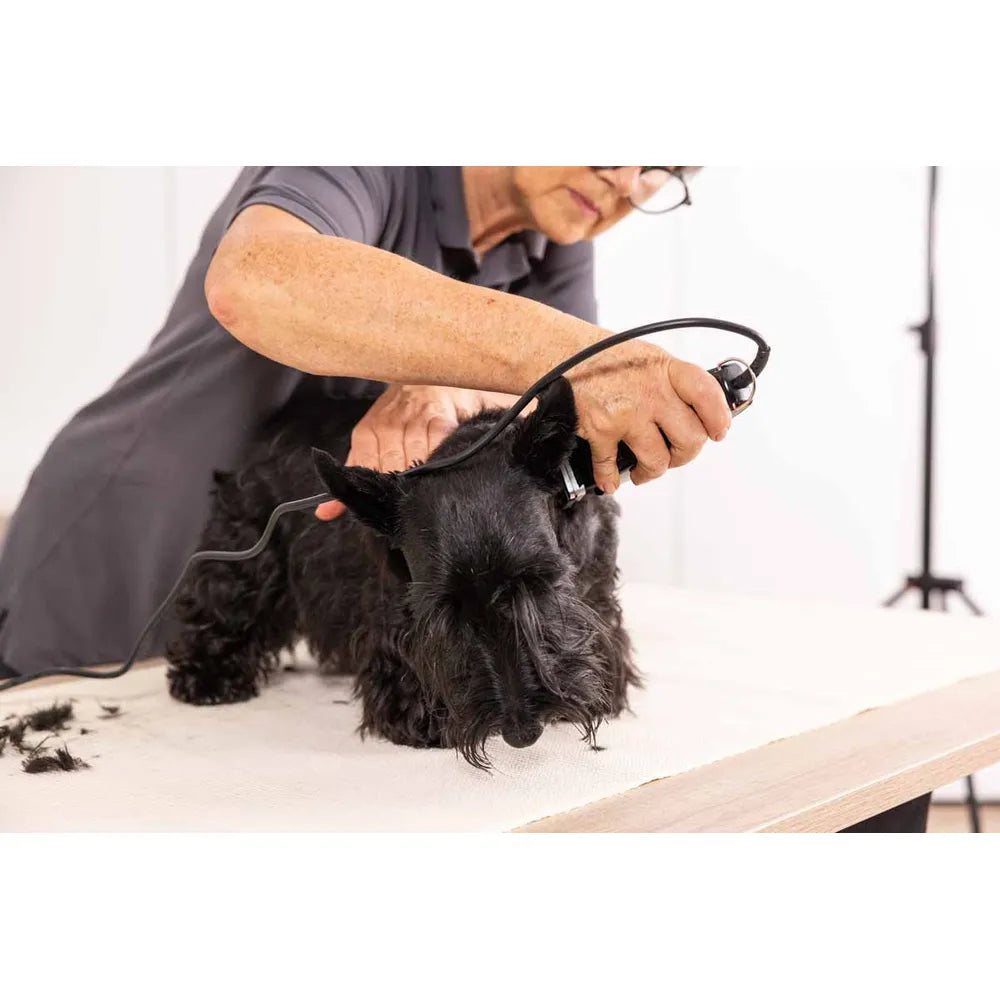 Klipper Rex Wahl 1230-0477 (EU) - FjeldgaardShop.dk Moser