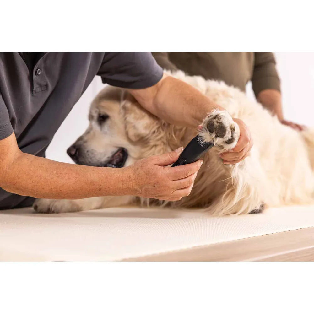 Klipper Prima Wahl – Ledningsfri præcisionstrimmer (EU) - FjeldgaardShop.dk Pelspleje Moser