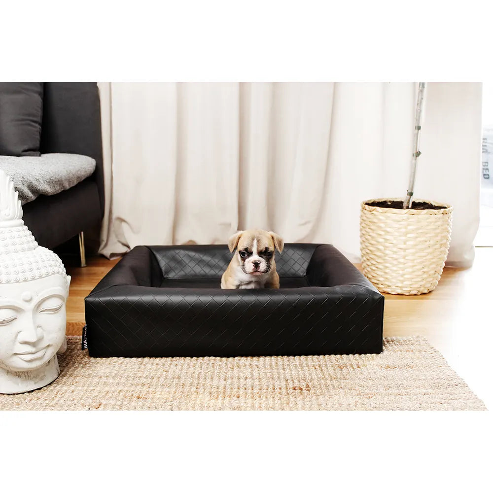 Bia Seng nr. 0 50x50x12 cm. Sort - Firkantet (EU) - FjeldgaardShop.dk Hundesenge Bia